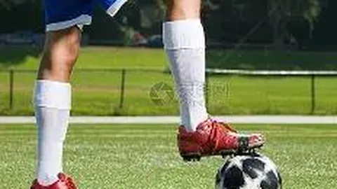 必赢bwin官方网站 资讯 091257 9pq