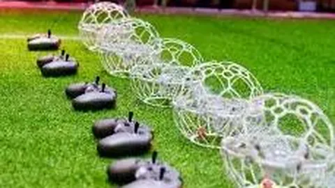 必赢bwin官方网站 资讯 091221 jis