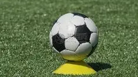 必赢bwin官方网站 资讯 091337 hp3